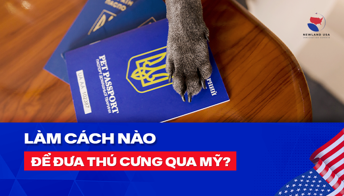 Làm cách nào để đưa thú cưng qua Mỹ?