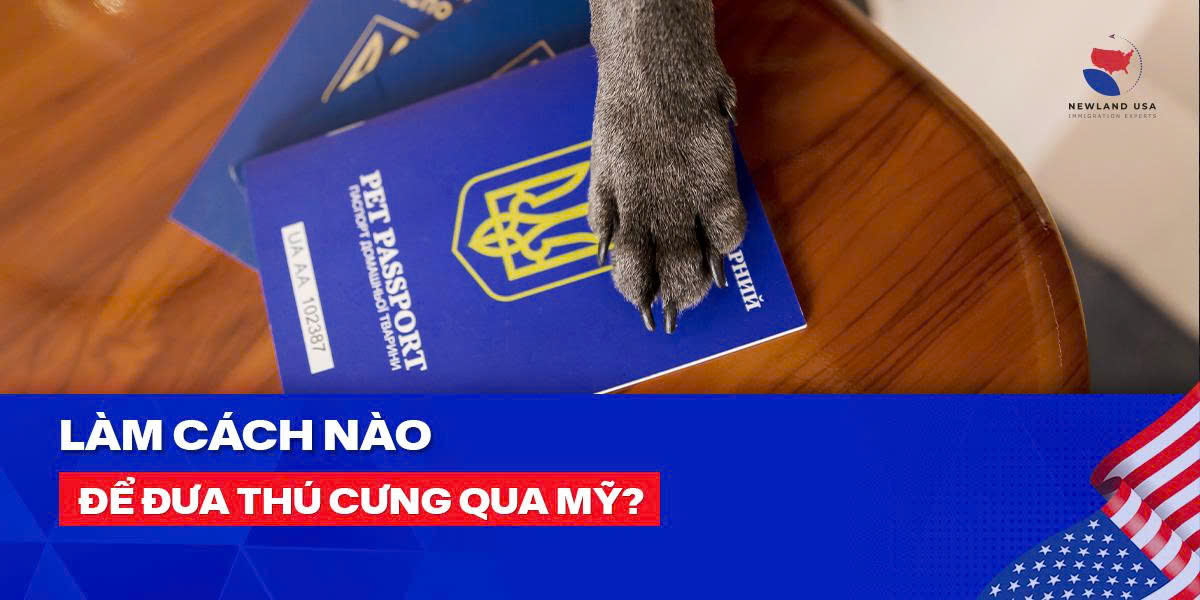 Làm cách nào để đưa thú cưng qua Mỹ? 