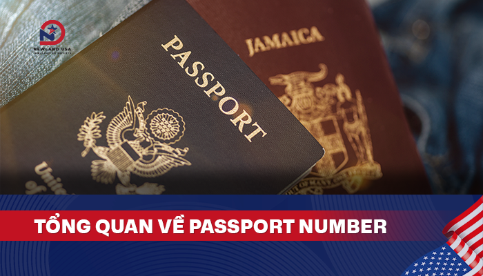 Tổng quan về Passport number