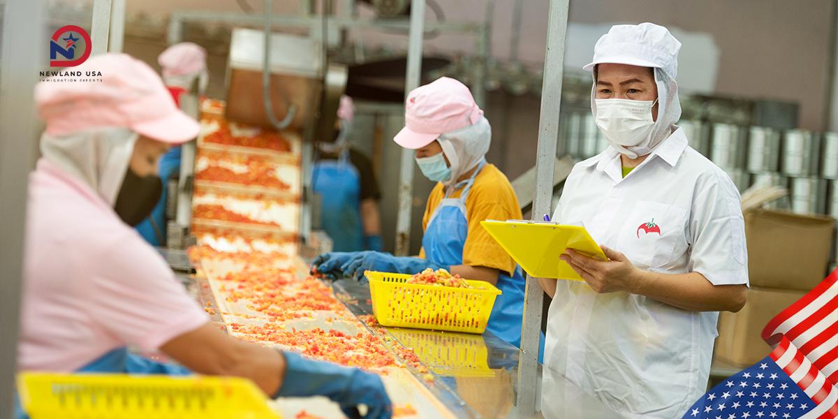 Vì sao ngành công nghiệp thực phẩm phổ biến trong chương trình định cư Mỹ diện EB3 Lao động phổ thông? 