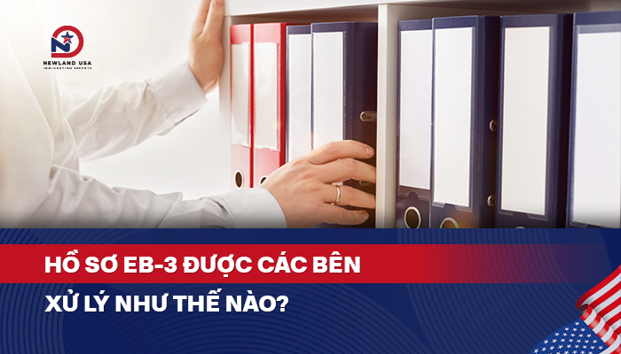 Hồ sơ EB3 được các bên xử lý như thế nào?