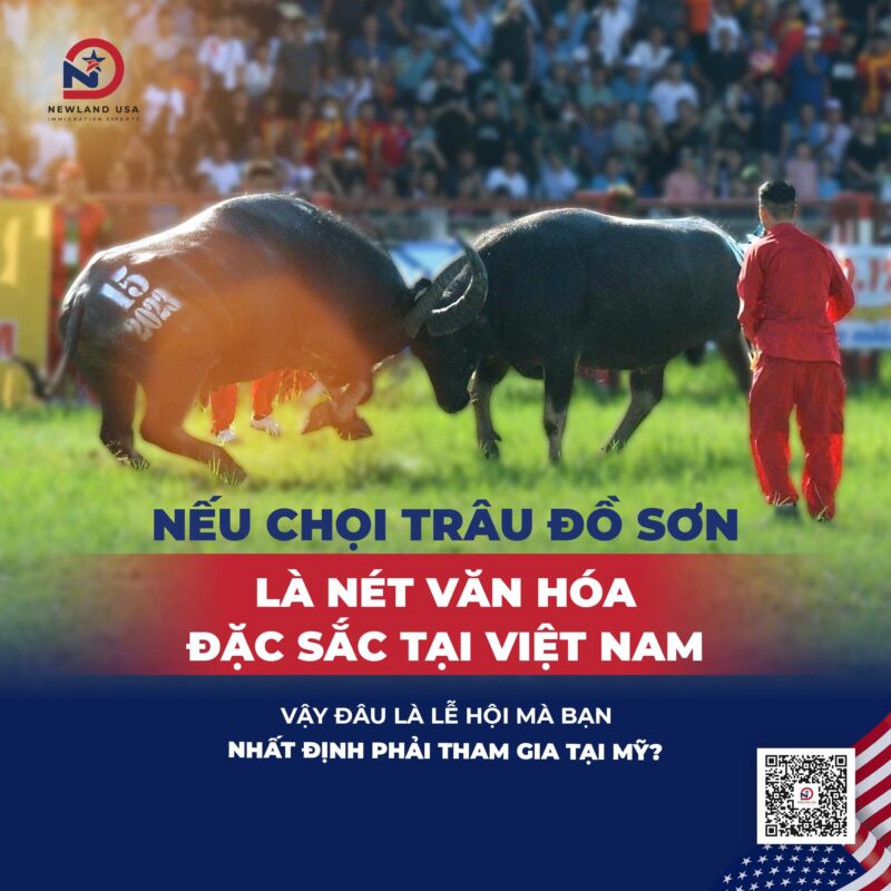 Nếu Chọi Trâu Đồ Sơn là nét văn hóa đặc sắc tại Việt Nam, vậy đâu là lễ hội mà bạn nhất định phải tham gia tại Mỹ?