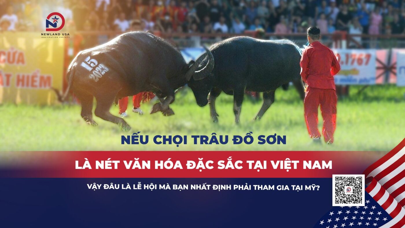 Nếu Chọi Trâu Đồ Sơn là nét văn hóa đặc sắc tại Việt Nam, vậy đâu là lễ hội mà bạn nhất định phải tham gia tại Mỹ?