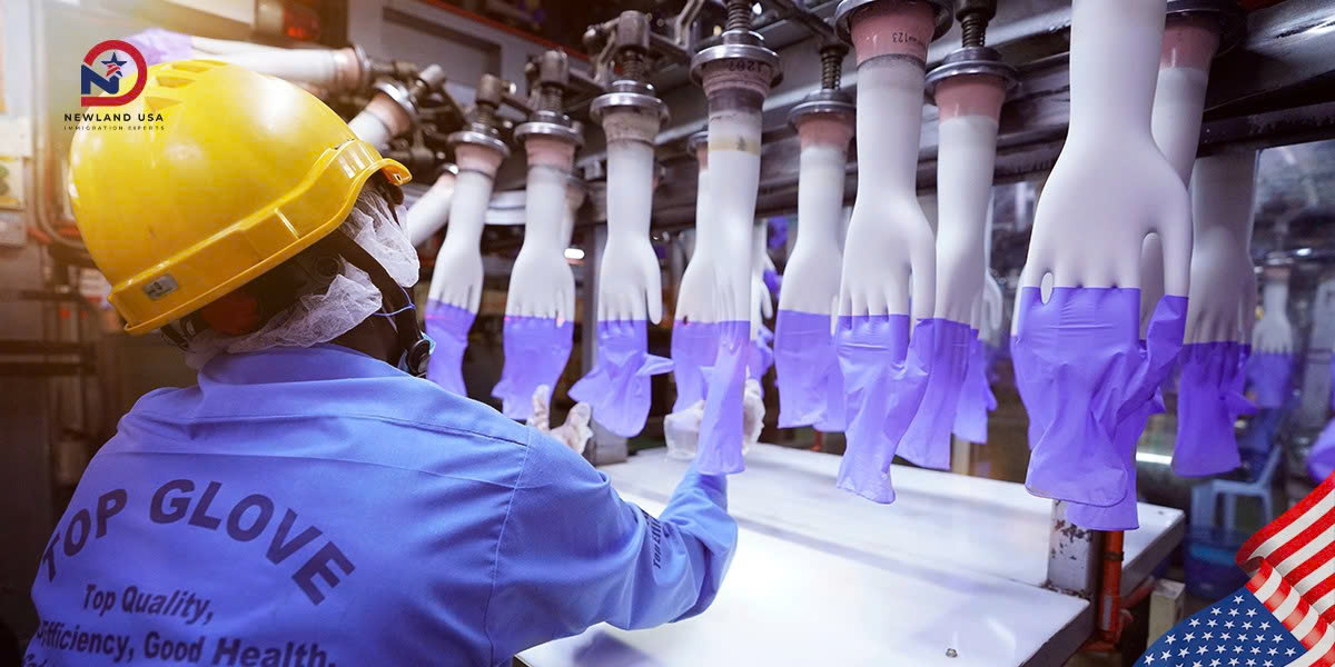 Đi Mỹ diện EB3 ngành sản xuất găng tay y tế: Cơ hội việc làm hấp dẫn cho lao động Việt 