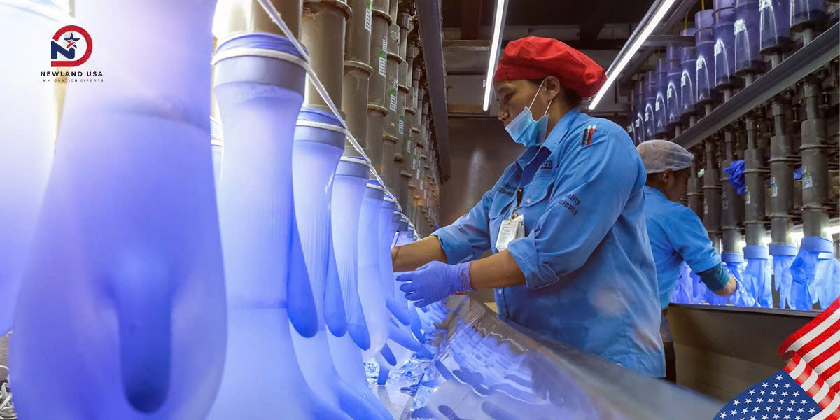 Opportunities for Vietnamese workers in the medical glove manufacturing industry.
