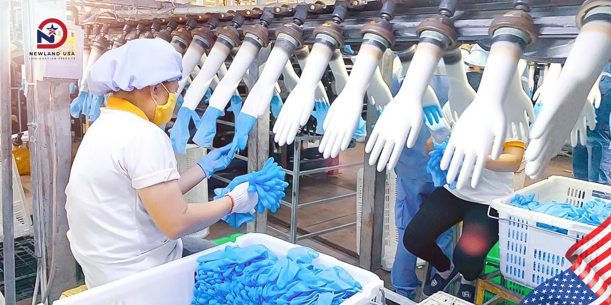Medical Glove Manufacturing Workers Must Be in Good Health to Ensure Stable and Efficient Operations