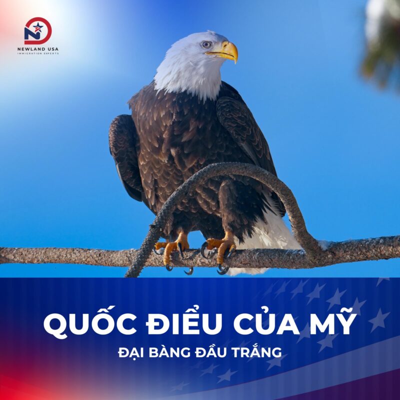 TOP 5 BIỂU TƯỢNG CỦA NƯỚC MỸ MÀ CÓ THỂ BẠN CHƯA BIẾT