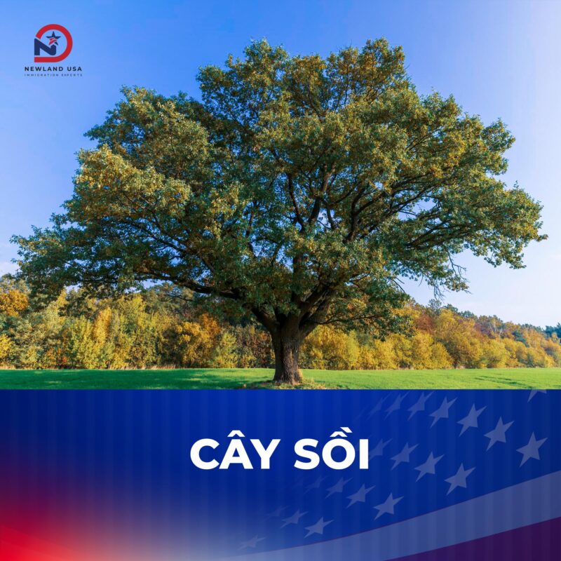 TOP 5 BIỂU TƯỢNG CỦA NƯỚC MỸ MÀ CÓ THỂ BẠN CHƯA BIẾT