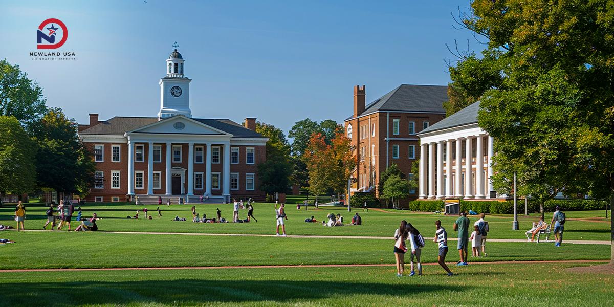 Hệ thống giáo dục Mỹ năm 2026: Nên chọn trường nào cho con?