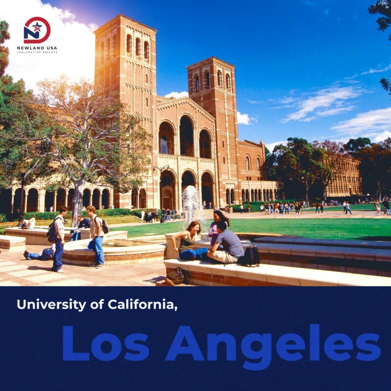 Top 5 trường học danh giá tại California, Mỹ: Bến đỗ lý tưởng cho tương lai con trẻ