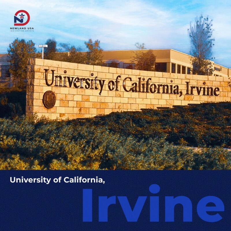 Top 5 trường học danh giá tại California, Mỹ: Bến đỗ lý tưởng cho tương lai con trẻ