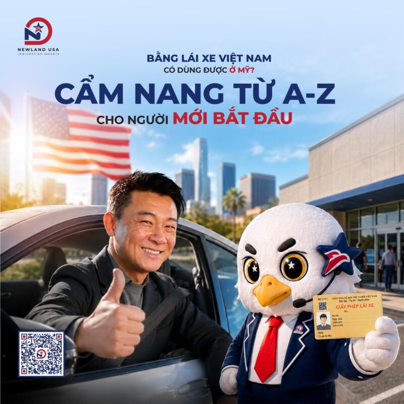 Bằng lái xe Việt Nam có dùng được ở Mỹ? Cẩm nang từ A-Z cho người mới bắt đầu